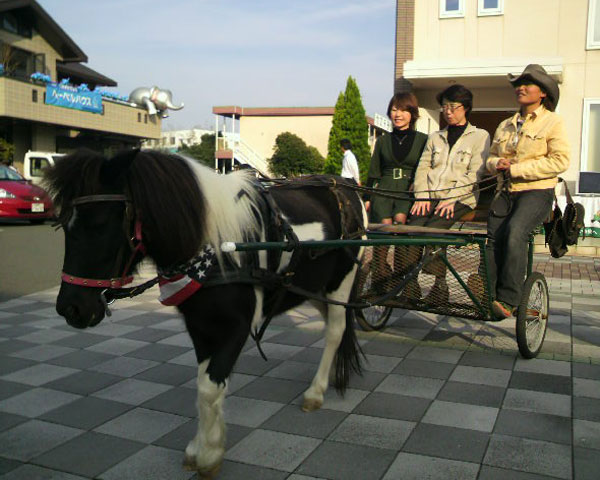 ポニー馬車